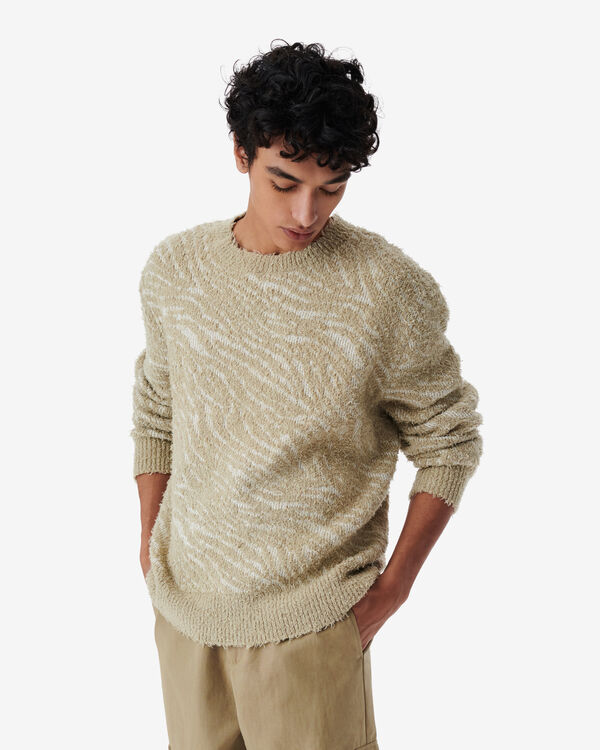 Iro PULL EN JACQUARD ZÈBRE BEI20