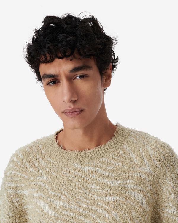 Iro PULL EN JACQUARD ZÈBRE BEI20