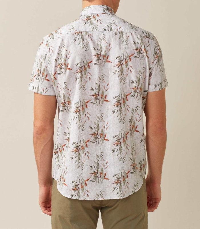 Izac Chemise Casual Kaki "Tako"