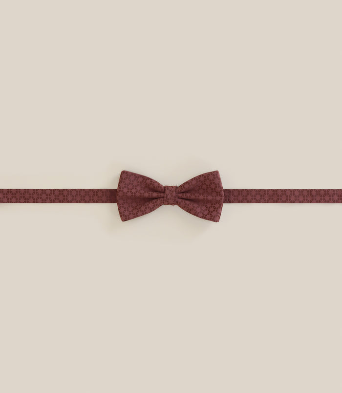 izac Noeud papillon à motifs terracotta