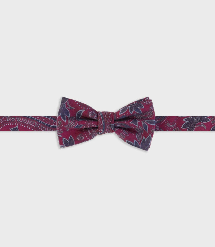 izac Noeud papillon bordeaux TAZIO