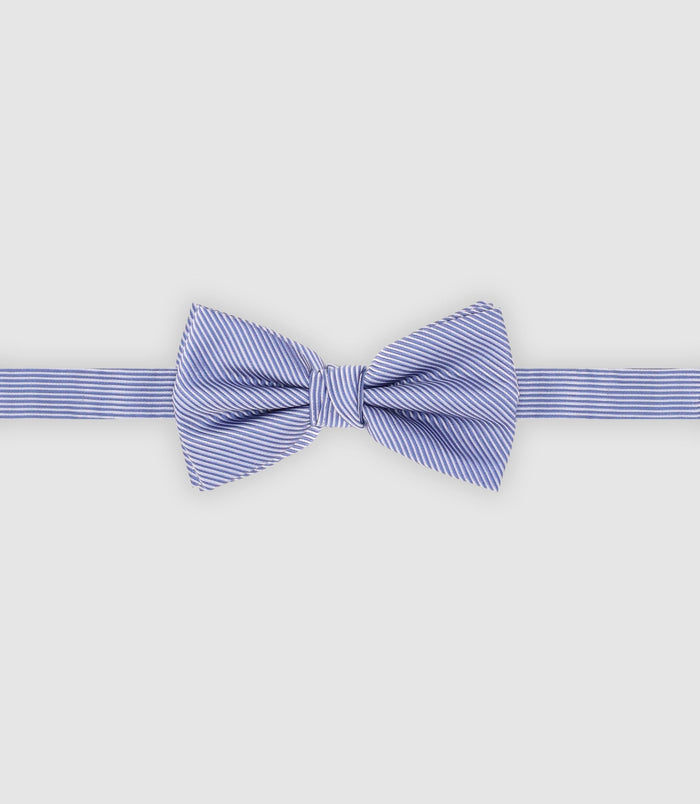 izac Nœud papillon rayé bleu