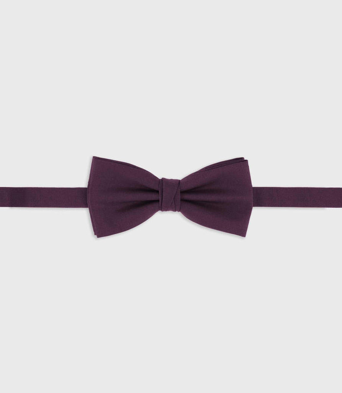 izac Nœud papillon violet NPTIAGO