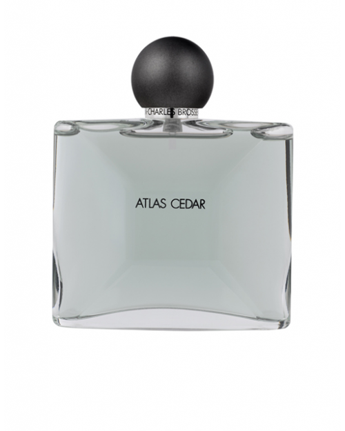 jean charles brosseau Collection Homme Atlas Cedar