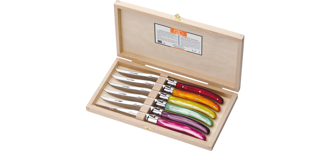 jean dubost Coffret 6 couteaux Laguiole acrylique couleurs fruitées