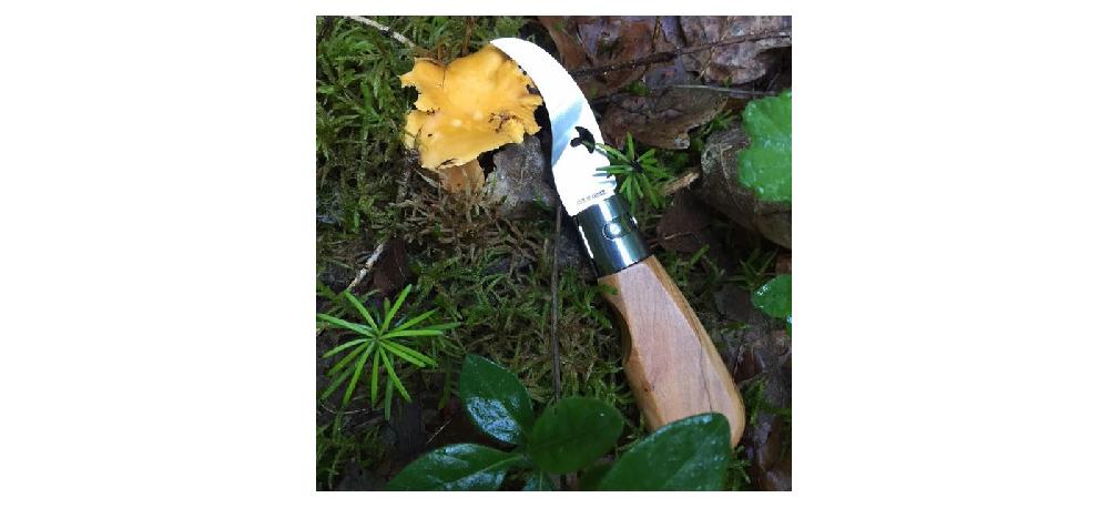 Jean Dubost Couteau à Champignon De Poche Modèle Frérot Par Jean Dubost