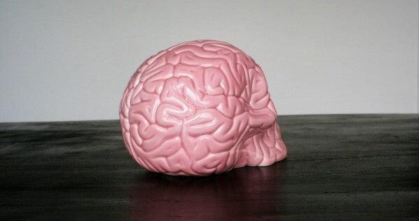 K.olin Tribu Skull Brain 'PINK' By Emilio Garcia