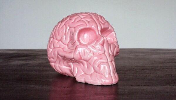 k.olin tribu Skull Brain 'PINK' by Emilio Garcia
