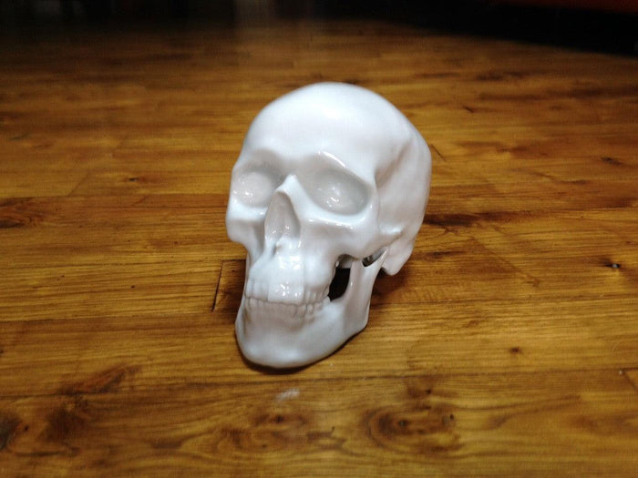 K.olin Tribu Skull By NooN