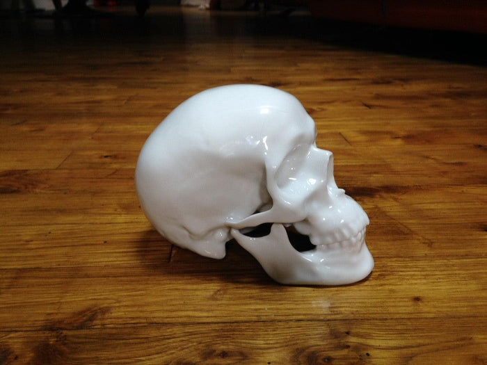 k.olin tribu Skull by NooN