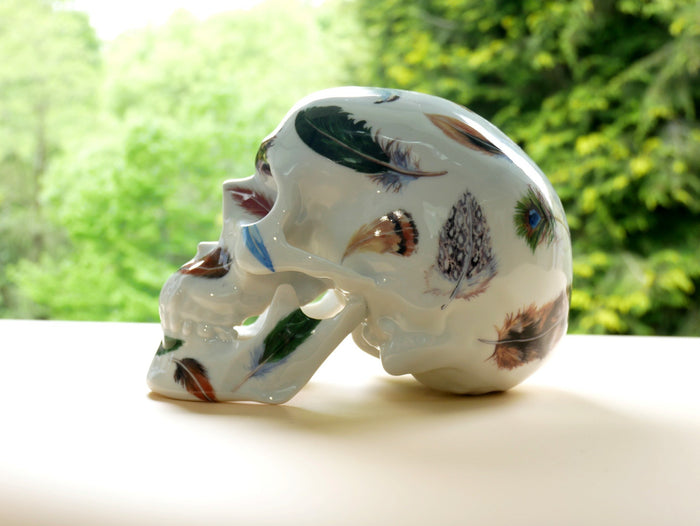 K.olin Tribu Skull Feathers By NooN