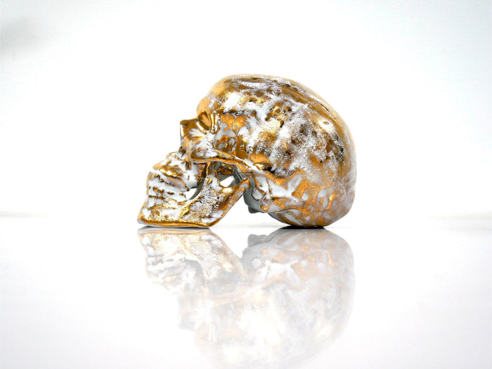 K.olin Tribu Skull Gold B. By NooN