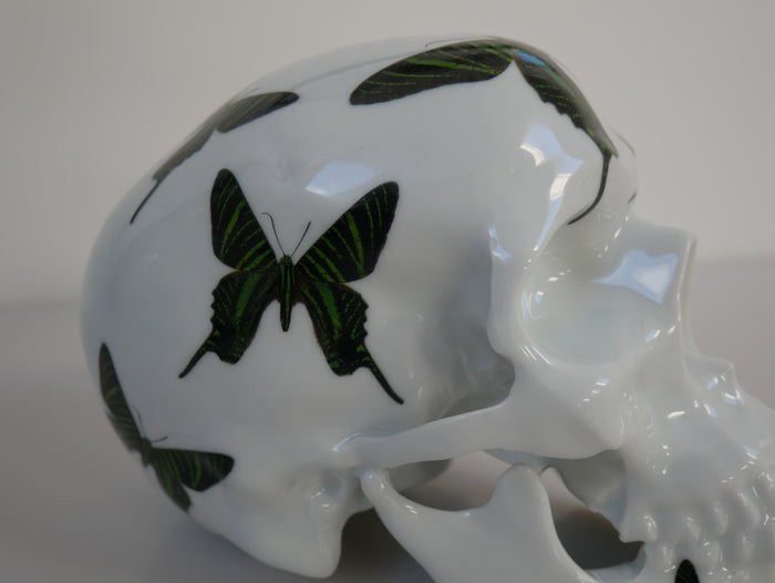 K.olin Tribu Skull Green Butterfly By NooN