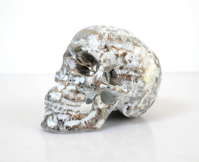 K.olin Tribu Skull Platinum B. By NooN