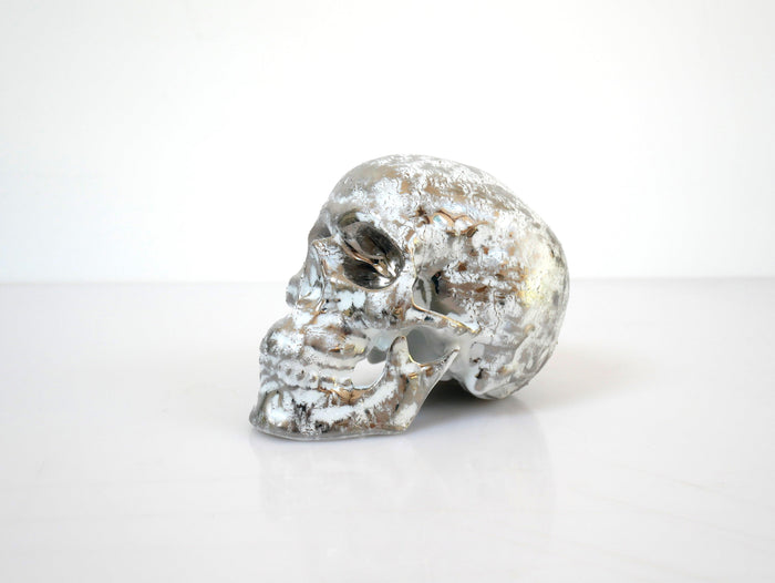 k.olin tribu Skull Platinum B. by NooN
