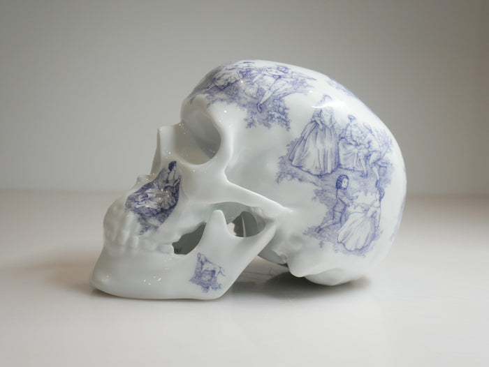 k.olin tribu SKULL TJ BLUE BY NooN
