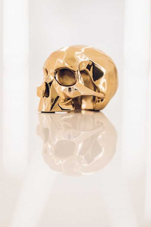 k.olin tribu Sculpture SKULL SPIRIT Edition by Richard Orlinski