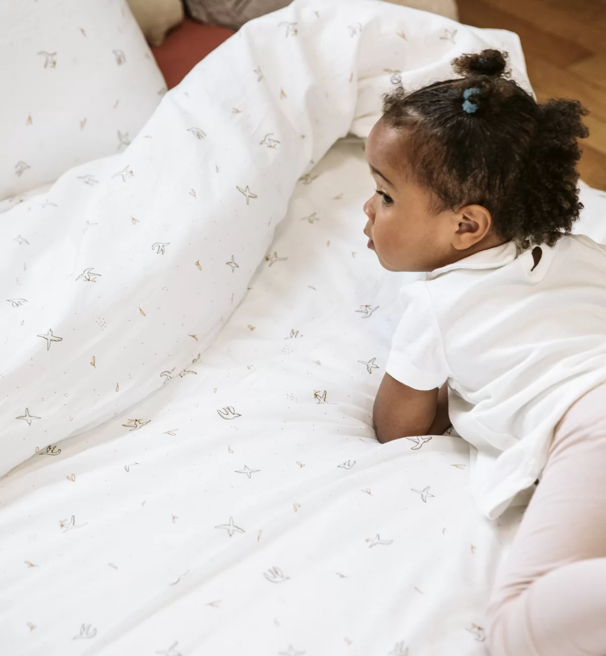 kadolis Collection l'Envolée