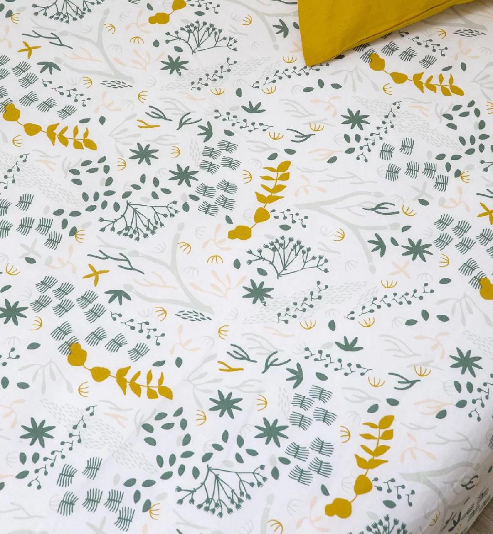 Kadolis Collection Yukari Douceur