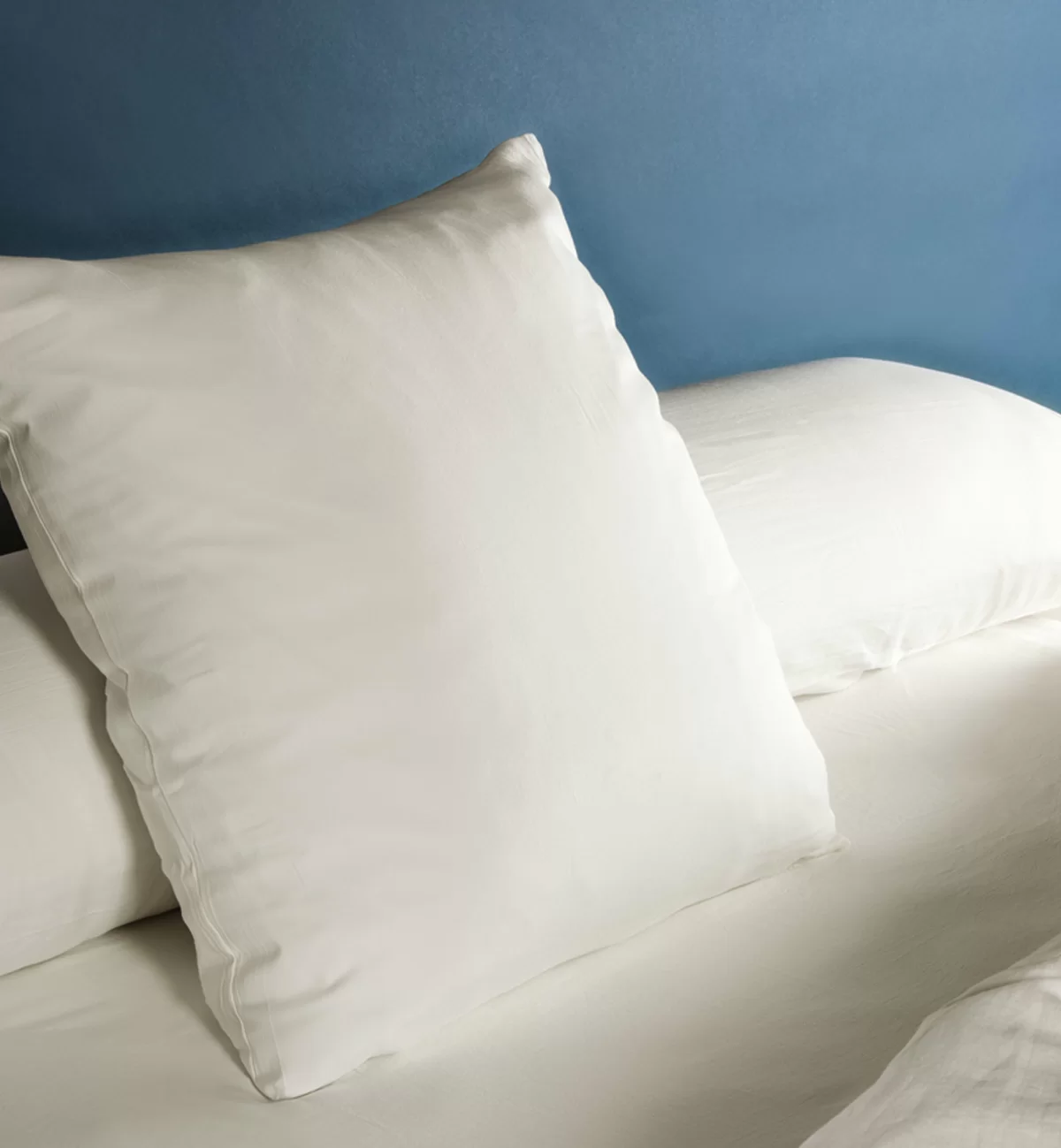Kadolis Drap Housse Pur Coton Bio Adulte