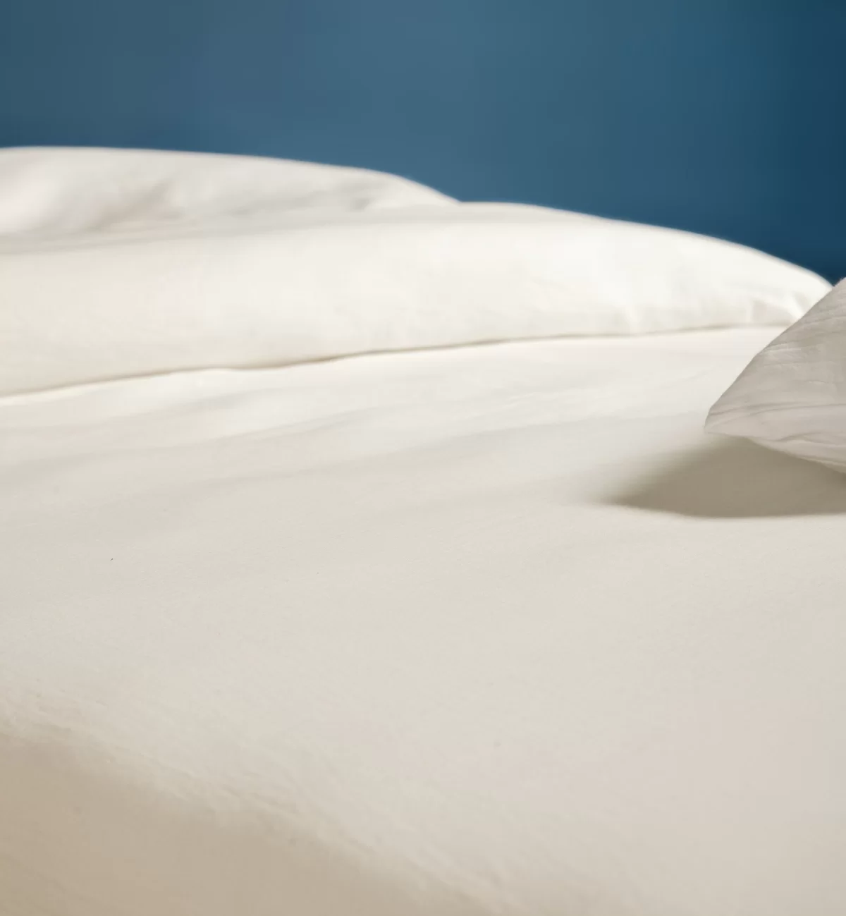 kadolis Drap housse pur Coton Bio adulte