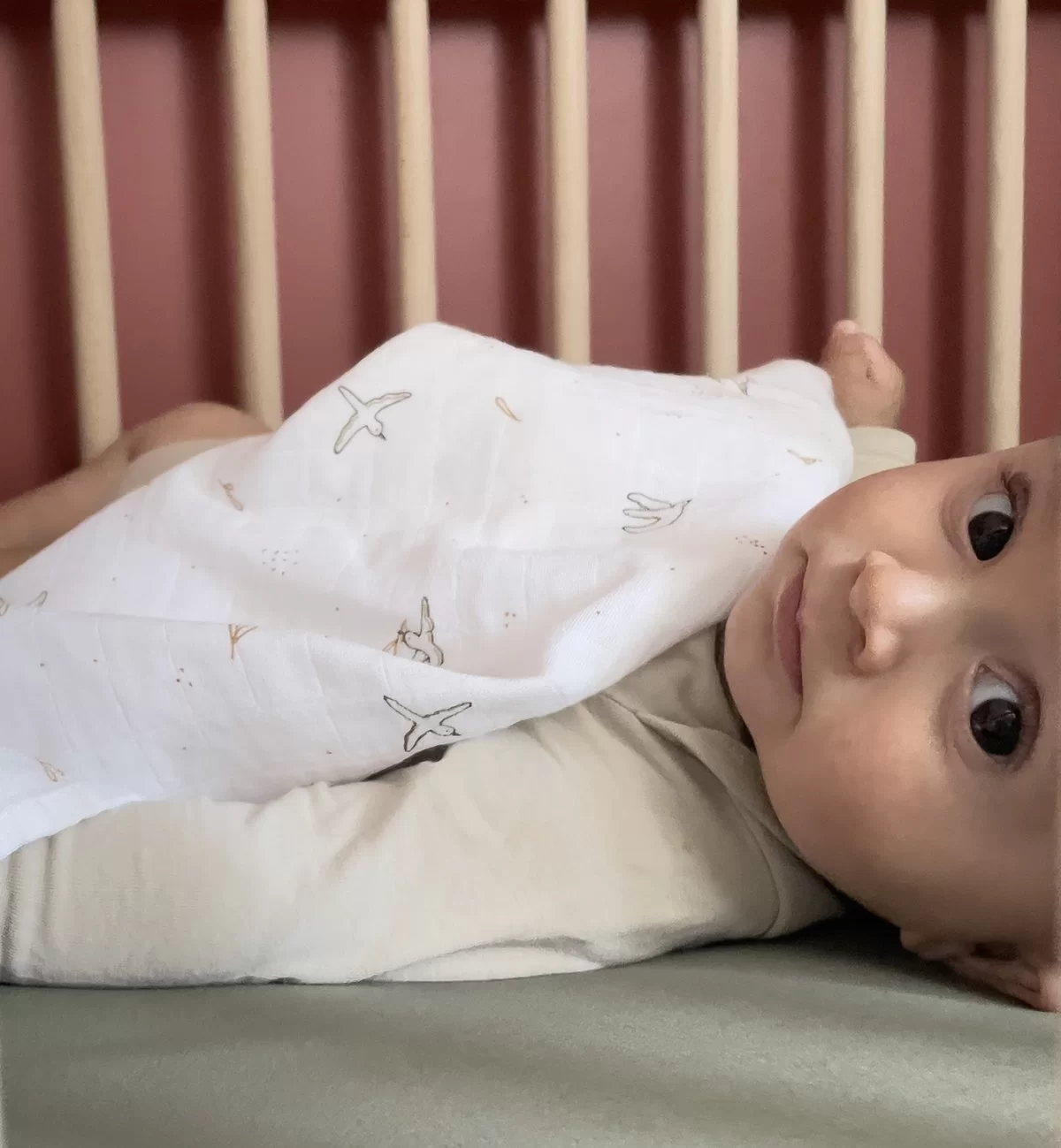 Kadolis Lange Coton Bio L'Envolée