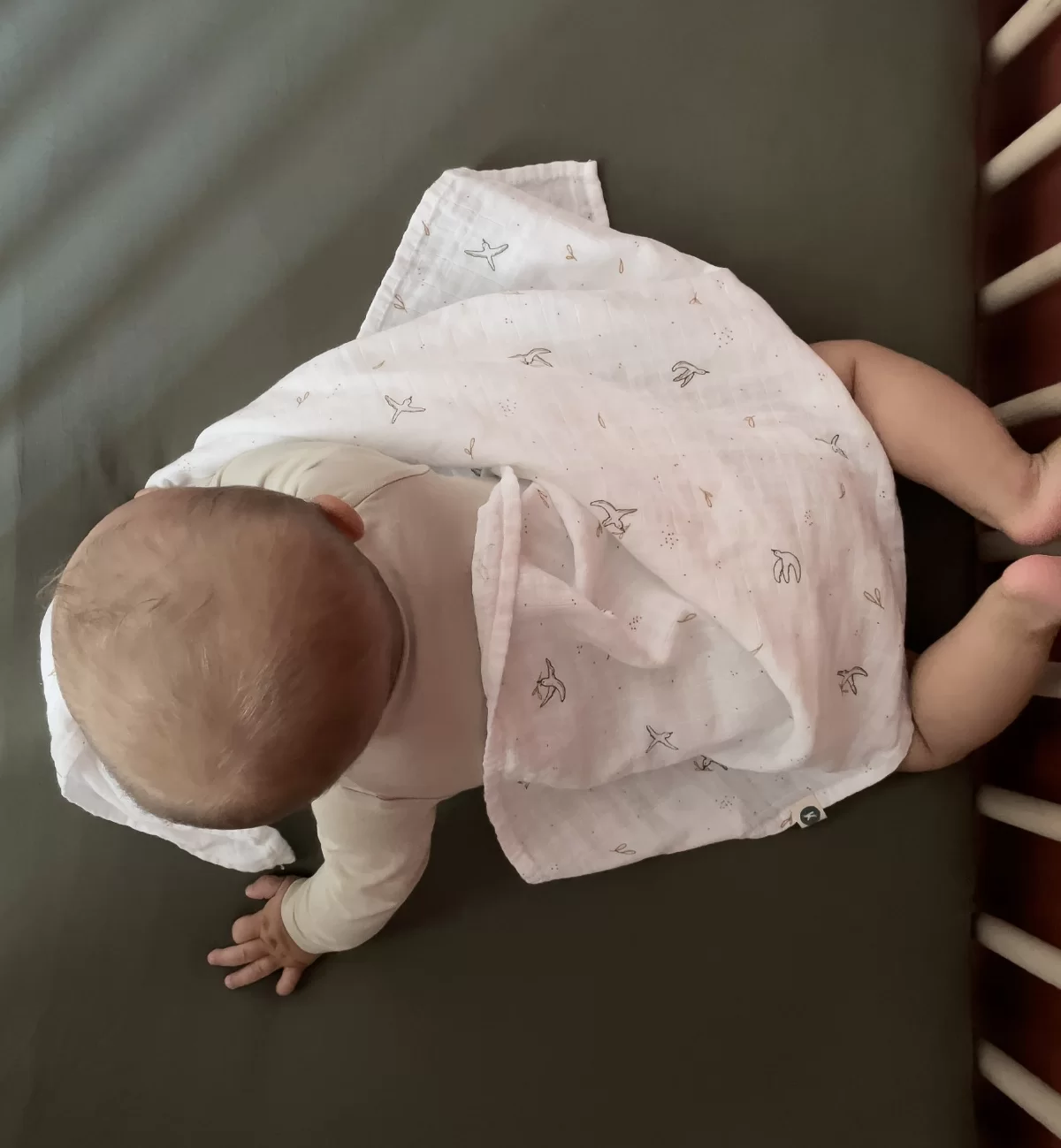 Kadolis Lange Emmaillotage Coton Bio L'Envolée