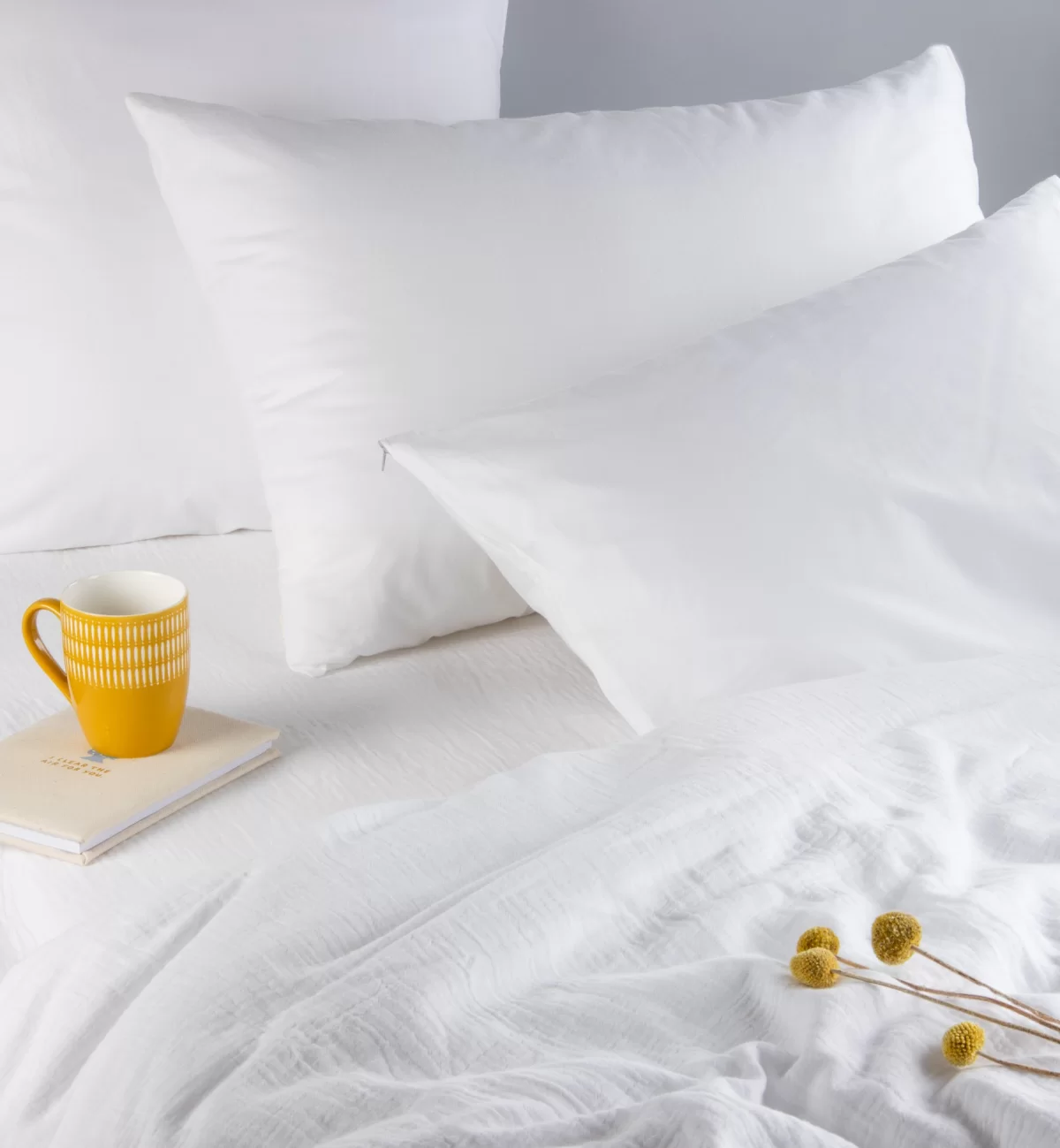 Kadolis Oreiller Adulte Lanaï En Duvet Et Plumes