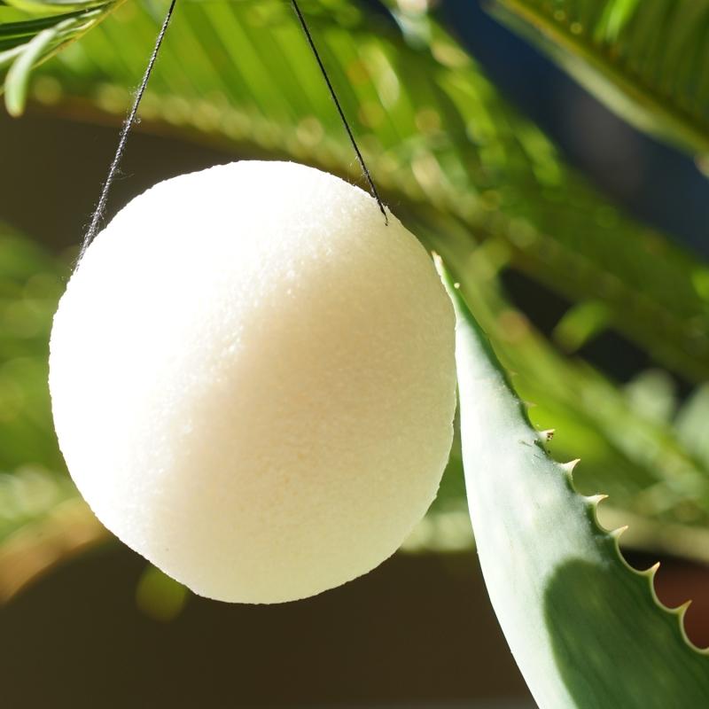 Karawan Authentic Eponge Végétale En Konjac Bio*