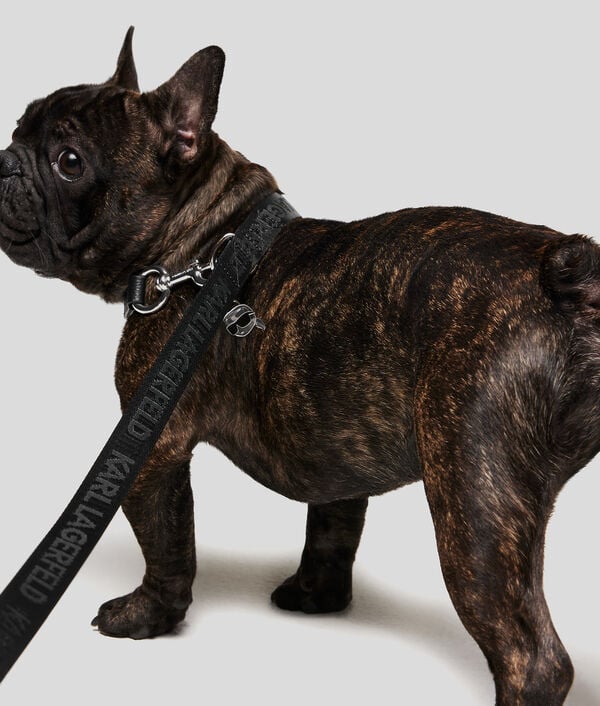 Karl Lagerfeld LAISSE ET POCHETTE K/PET