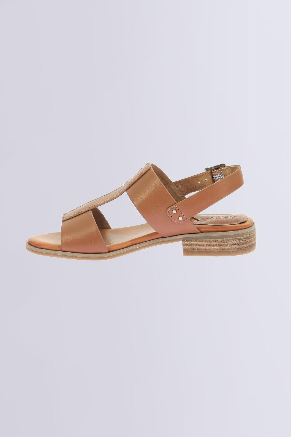 Kickers Kick Bucly Camel