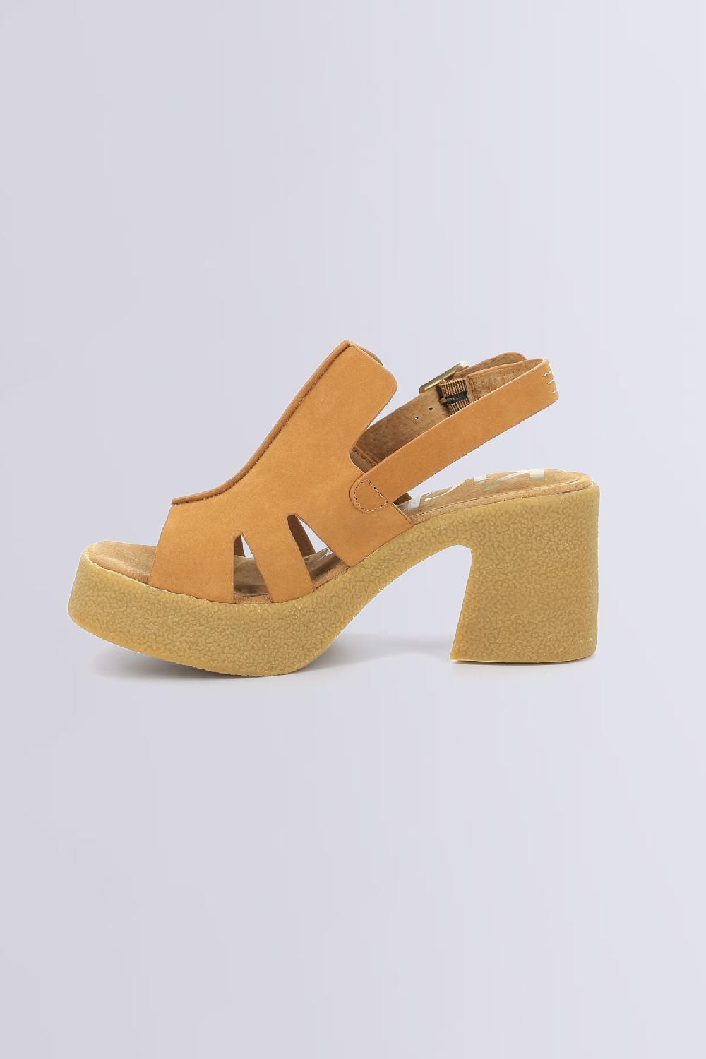 Kickers Kick Charlie Camel