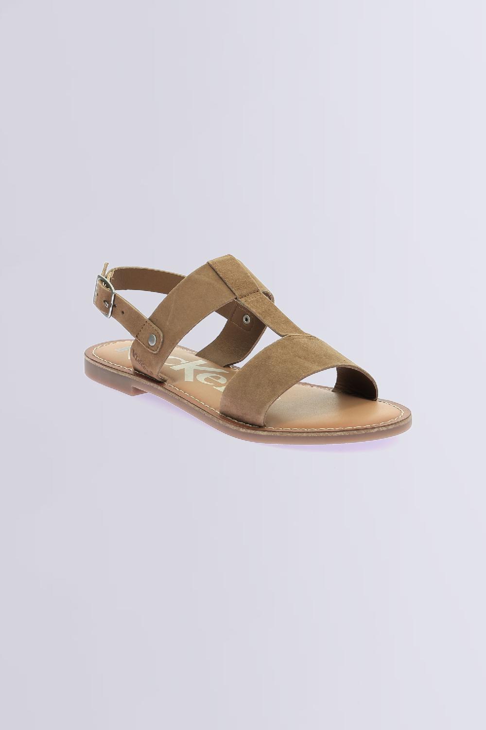 kickers Kick dines Camel