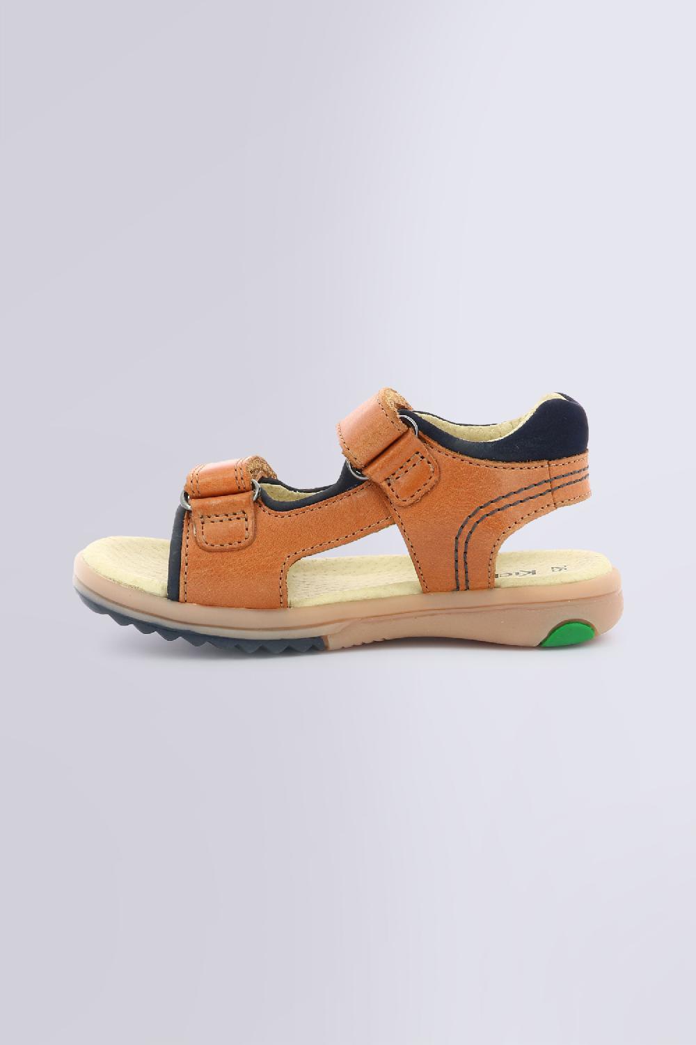 Kickers PLATINO CAMEL