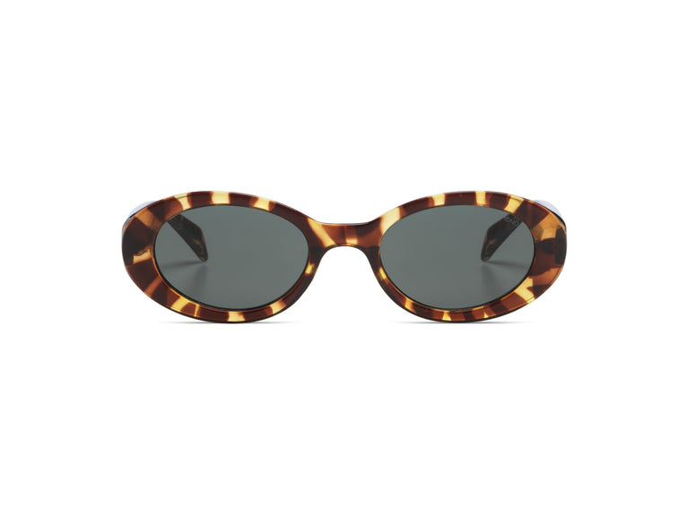 Komono Ana Tortoise