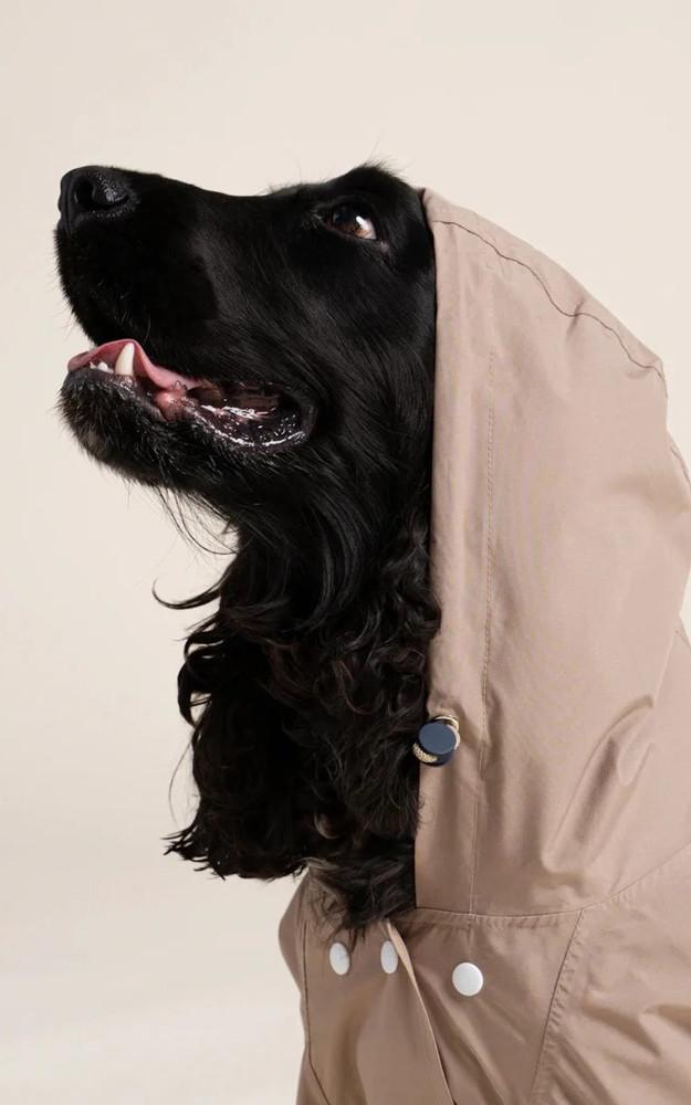 La Canadienne Imperméable Pour Chien Boulogne Beige