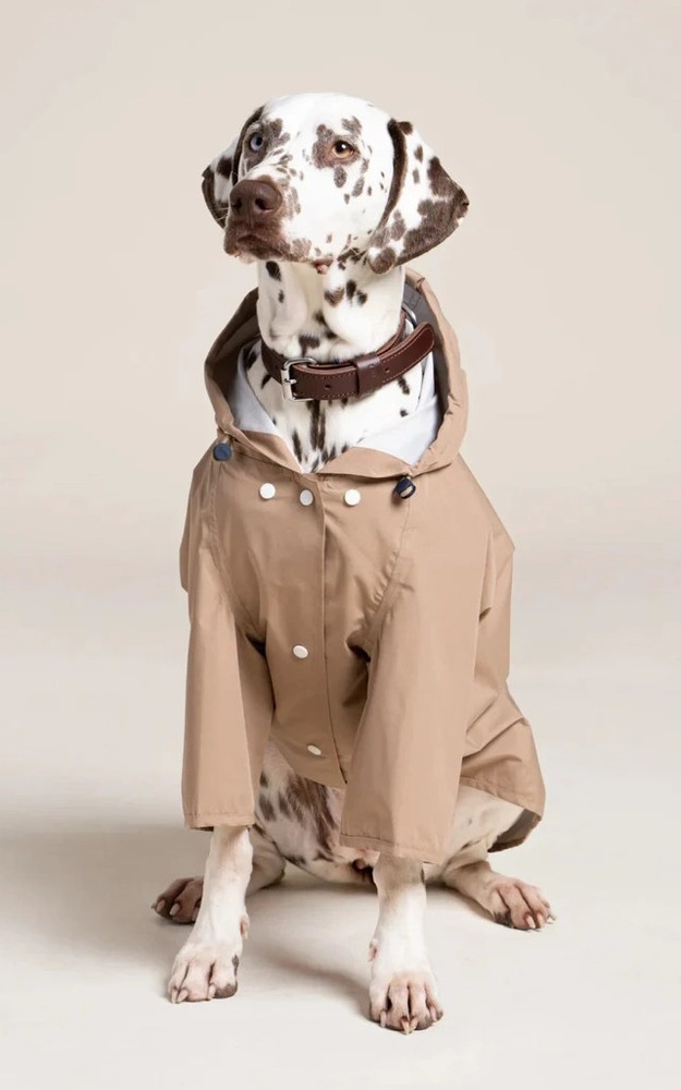la canadienne Imperméable pour chien Boulogne beige