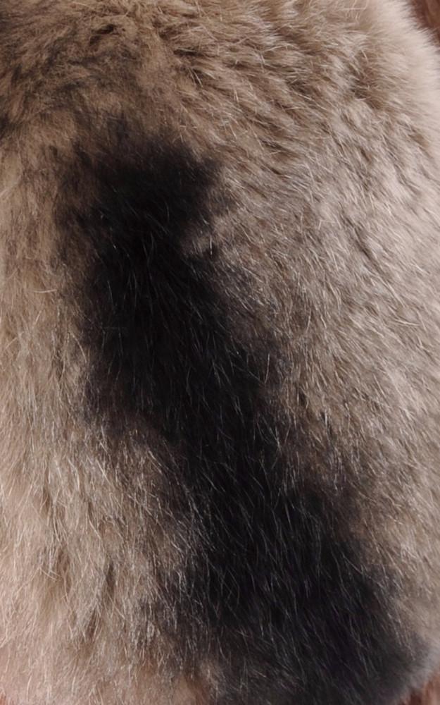 La Canadienne Cache-oreilles Lapin Rex