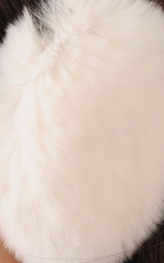 La Canadienne Cache-oreilles Lapin Rex Blanc