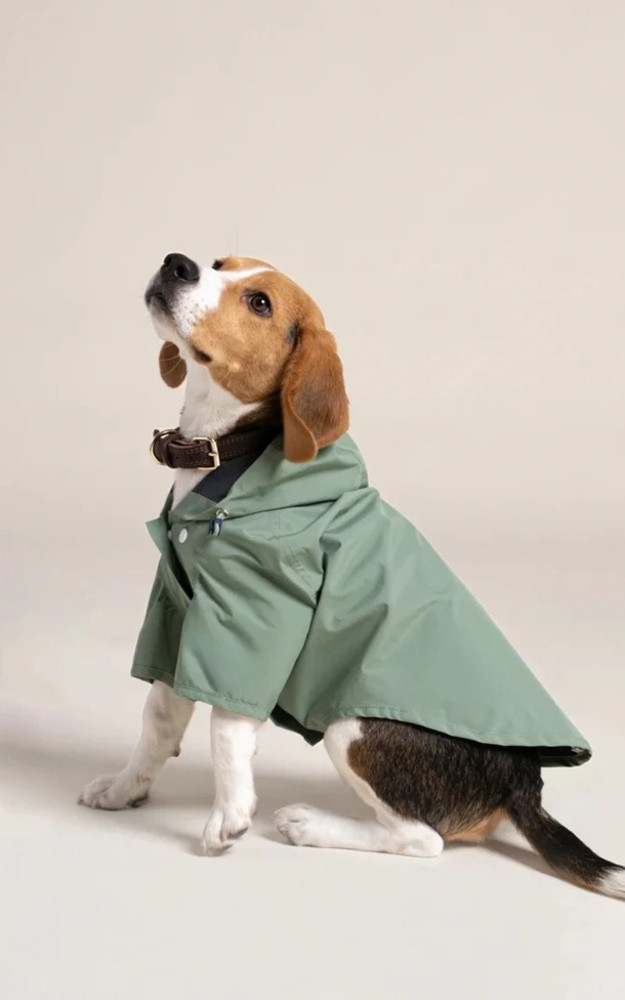 La Canadienne Imperméable Pour Chien Boulogne Vert