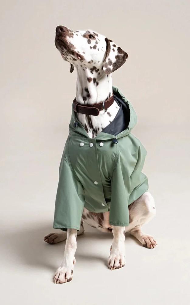 La Canadienne Imperméable Pour Chien Boulogne Vert