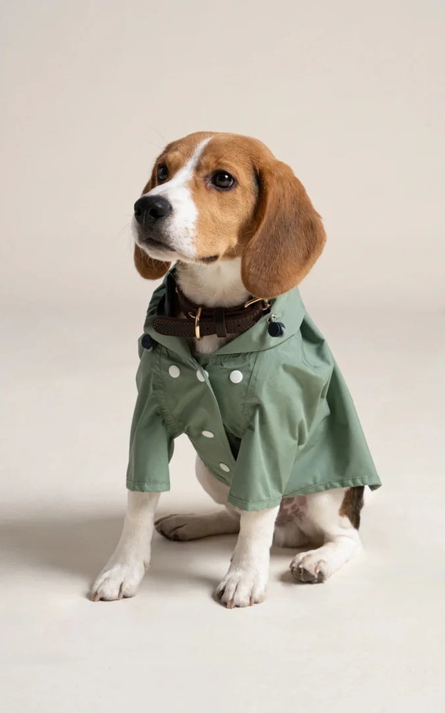 la canadienne Imperméable pour chien Boulogne vert