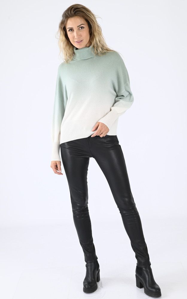 La Canadienne Pull Col Roulé Cachemire Vert