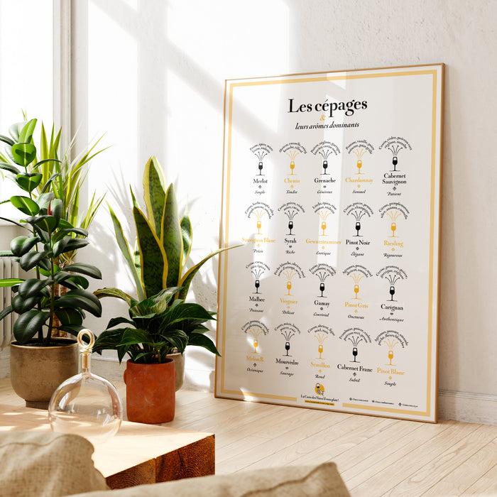 la carte des vins s'il vous plaît Les Cépages et leurs Arômes - XL