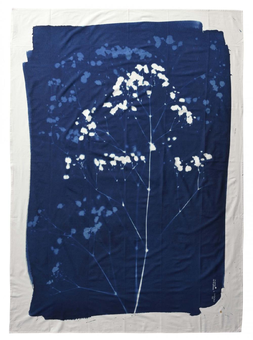 la cerise sur le gâteaux Paréo Cyanotype 100% voile de coton bio