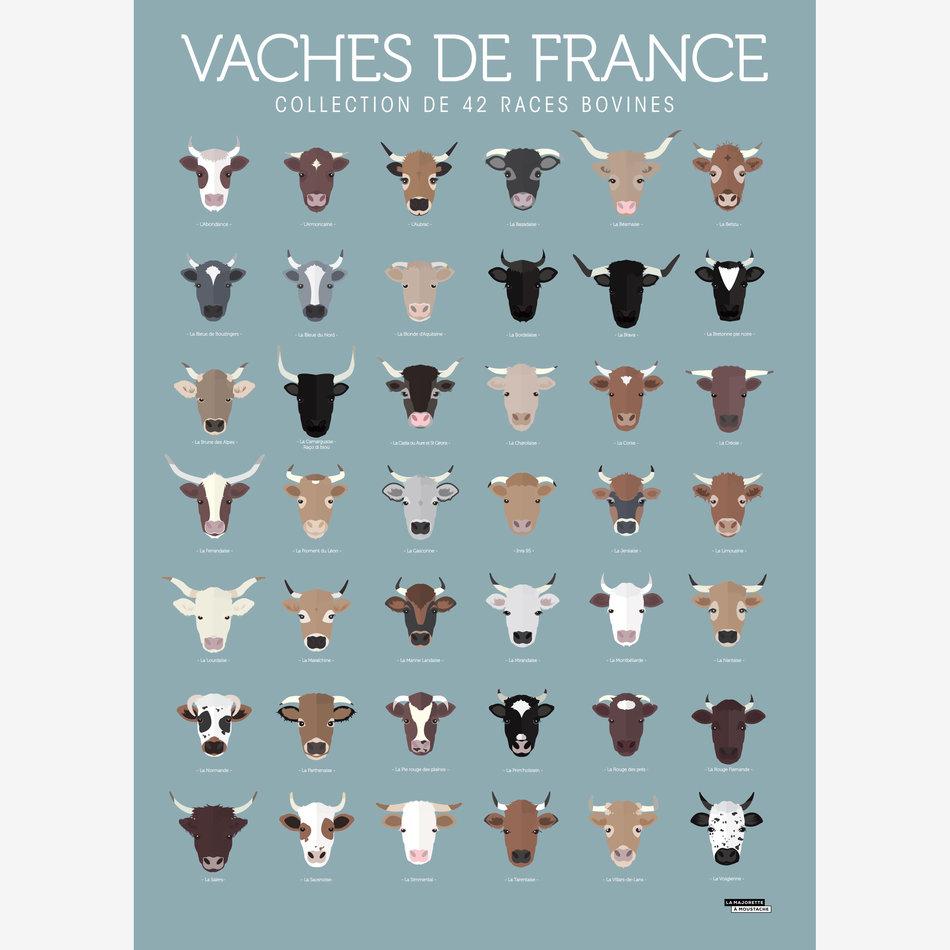 la maison de l'ambre Affiche Vaches de France