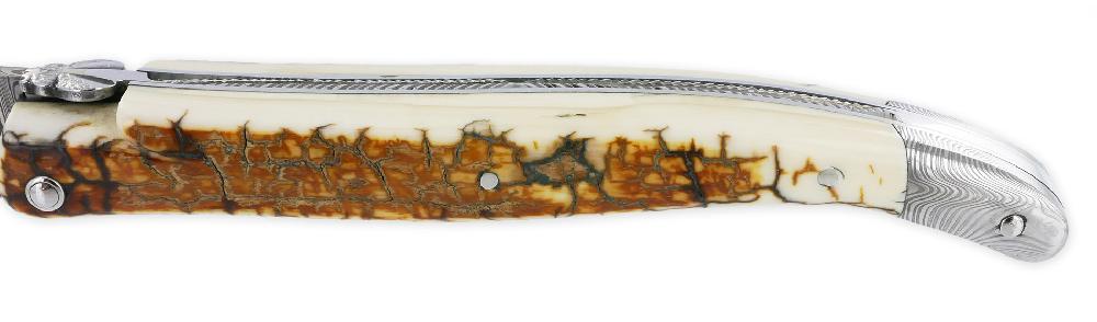 Laguiole Couteau Prestige Laguiole Arbalète Manche En Ivoire De Mammouth 1 Mitre Damas 1 Pièce 12cm