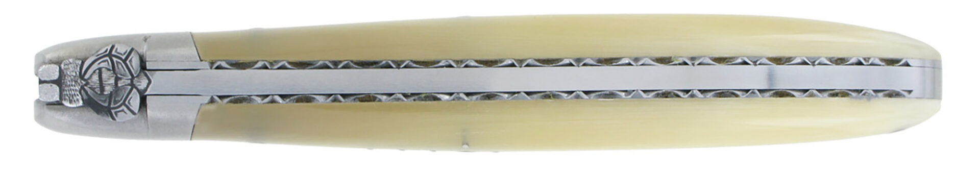 laguiole Laguiole en Aubrac Knife 1 Piece 12 cm Horn Tip 1 Bolster Brushed Stainless Steel Bumblebee Decoration