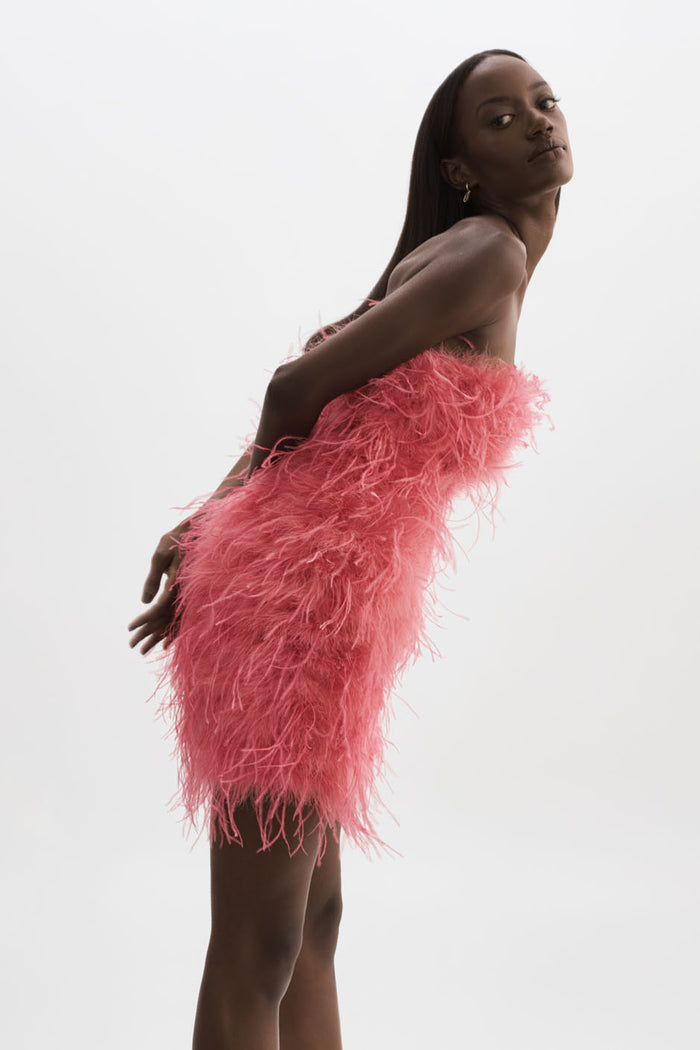 Lamarque TRIANA | Robe à Plumes