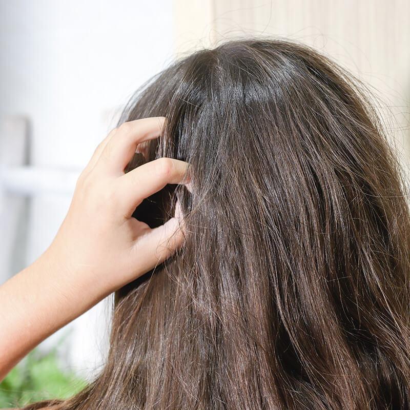 Lamazuna Shampoing Solide Des P'tites Têtes
